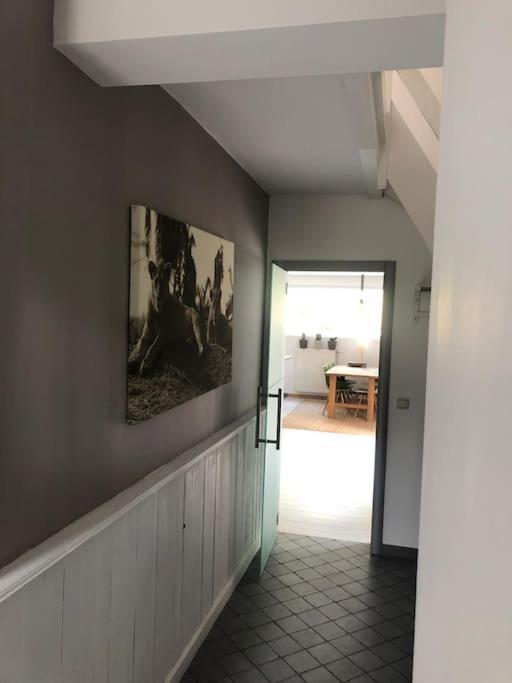 Grande Maison Cozy, Sud, 15 Min Spa Francorchamps Theux Εξωτερικό φωτογραφία