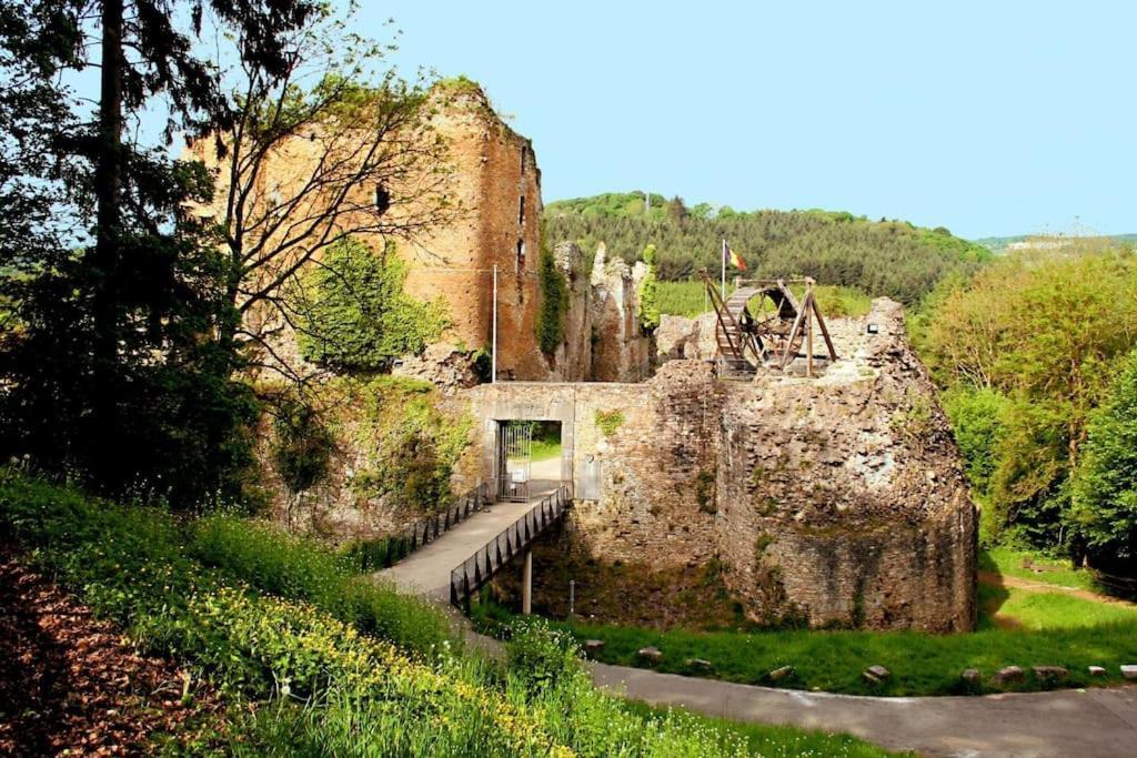 Grande Maison Cozy, Sud, 15 Min Spa Francorchamps Theux Εξωτερικό φωτογραφία